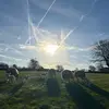 jcdavies0