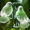 user11674385