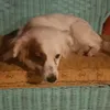 juli.coki4