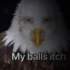 the_simp_master2erect
