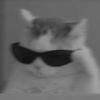 memelovescats2009