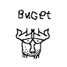 buget_