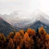 autumnjunkie