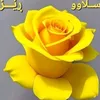 alihawleri64