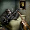 guitar_enjoyer