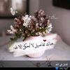 user693266199