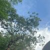 regi_089