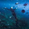 visualtrip.karimunjawa