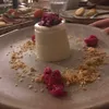 shelby_ng