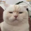 mynameisroberto