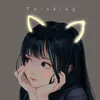 finnesc_8