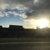 reihana929