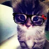 ..lauriss..a