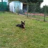 aurelie.charmeton