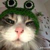 sity_amelia13