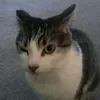 _mickzxy77