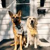 ellie.and.leia