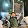 bangbee9