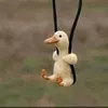peewan27