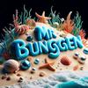 mr_bunggen10