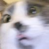 sulusparkles