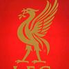 fatima7_ynwa