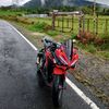 babyr.merah