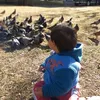 rosalinaazevedo6
