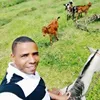 castorsousa
