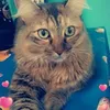 oliveirajane47