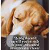 girllovesdogs