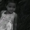 slyzv_