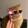 luka.catt