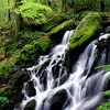 hieu.com16