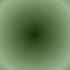 pholover11