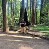 christian_taylor0824