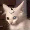 smhuu_