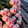 emreema12