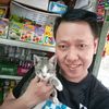 dayat_cats