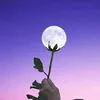 222334666732koko