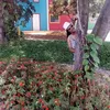 marinavieira762