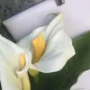 user1313080820082022