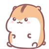 user84506501