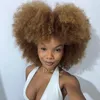 wanessabreu