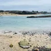 katiaaugusto00