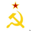 vunguyenbinhdinh77