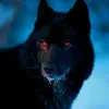 .black.wolfie