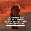 pedrocaal47