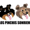 los_pinchis_sonrientes