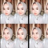 alissetia__